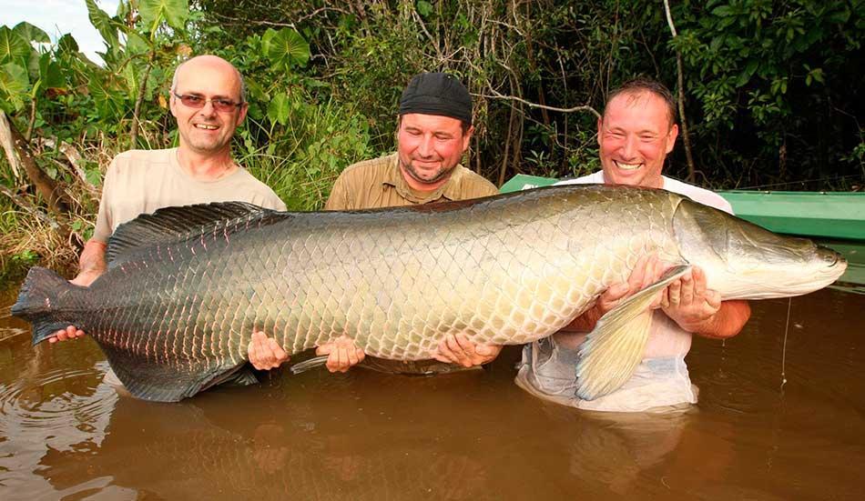 Amazon Queen Lodge Mazan Luaran gambar