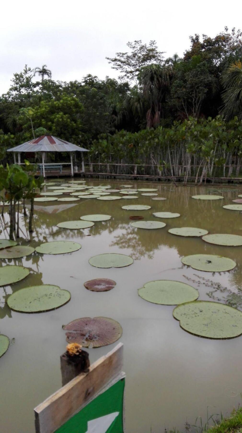 Amazon Queen Lodge Mazan Luaran gambar